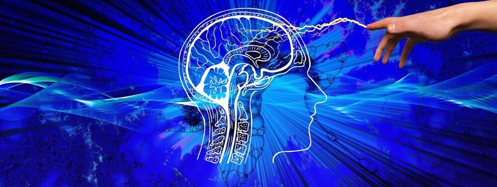 finger-connection-to-brain